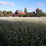 Oda ve Kahvaltı Berdale