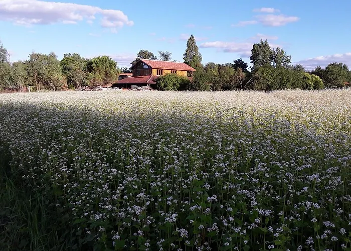 Bed and breakfast Berdale