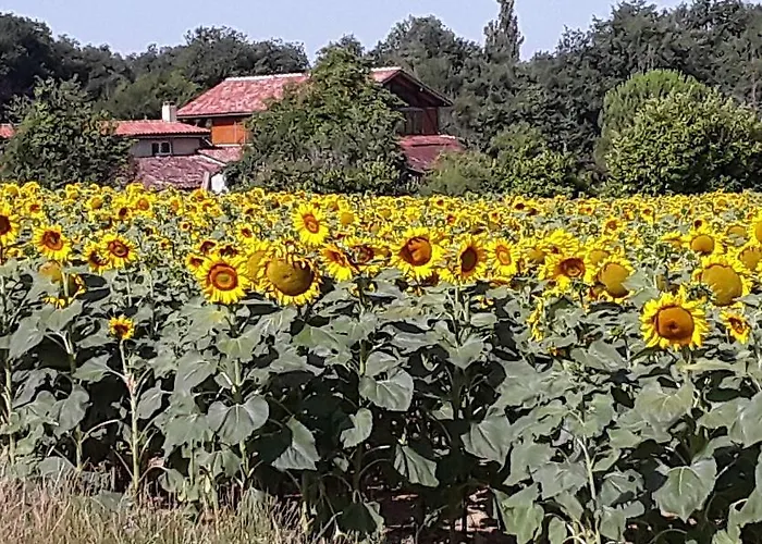 Bed and breakfast Berdale Gabarret