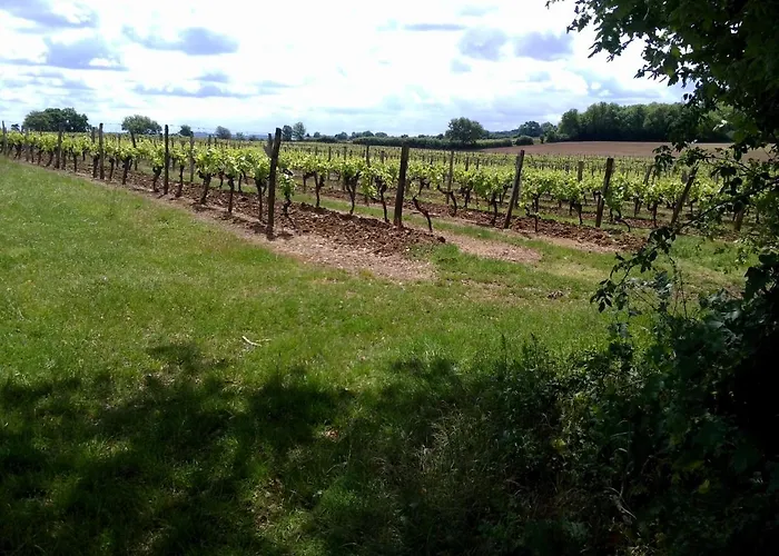 Bed and breakfast Berdale 3*